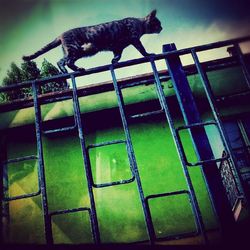 Low angle view of built structure