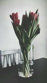 Close-up of red rose in vase