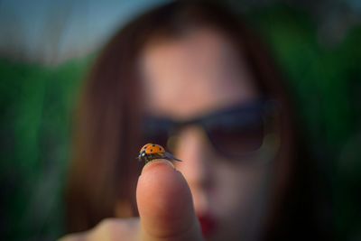 Close-up of ladybug on hand