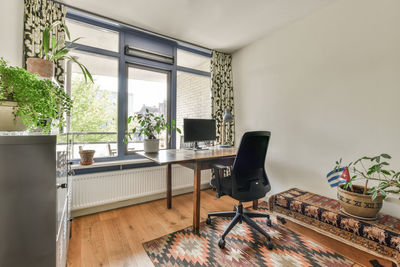 Potted plant by window