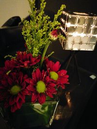 Close-up of flowers