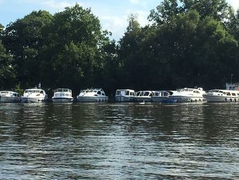 Boats moored on river by trees against sky