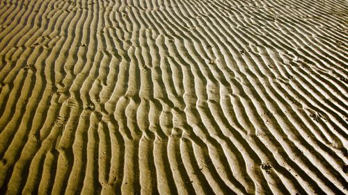 Full frame shot of sea shore