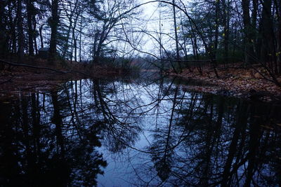 Reflection of trees in lake against sky