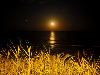 Scenic view of sea against clear sky at night