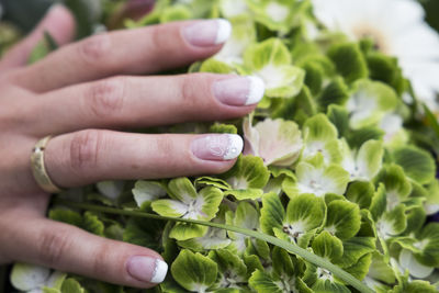 Close-up of woman hand with flowers