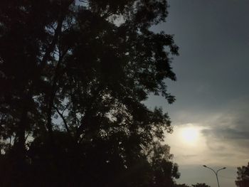 Low angle view of silhouette trees against sky during sunset