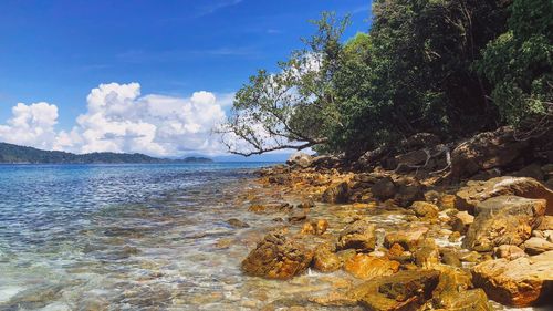 Scenic view of sea against sky