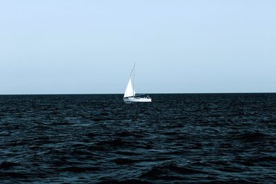 Sailboat sailing in sea