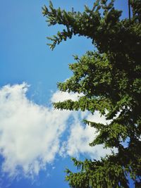 Low angle view of tree against blue sky