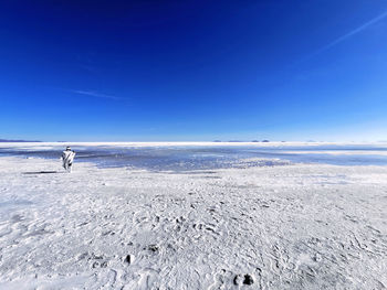 Man on snow covered land against blue sky