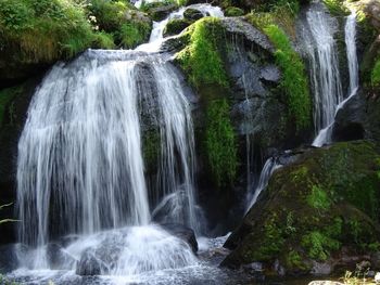 View of waterfall in forest