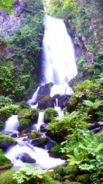 Scenic view of waterfall in forest