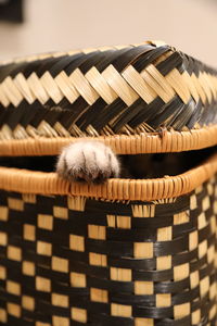 Close-up of cat in basket