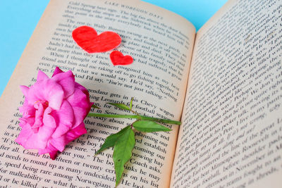Close-up of pink rose on book