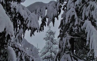 Panoramic view of snowcapped mountains against sky