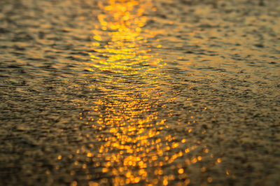 Close-up of yellow water on road