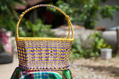 Close-up of multi colored plant in basket