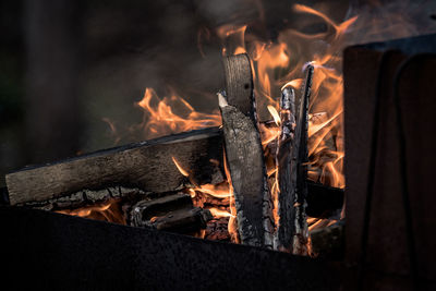 Close-up of fire on log