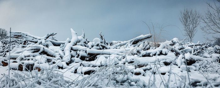 Low angle view of snow covered firewood against sky