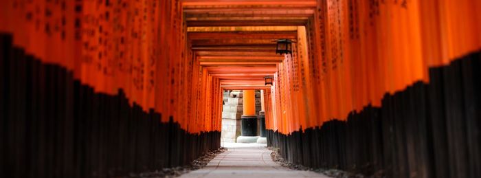 Japanese shrine, torii gates