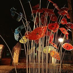 Close-up of illuminated lanterns hanging at night