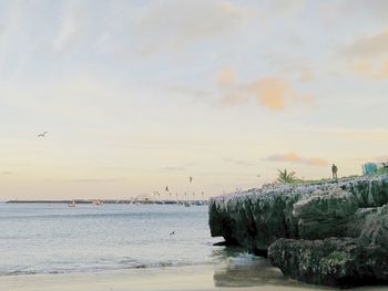 Bird flying over sea against sky