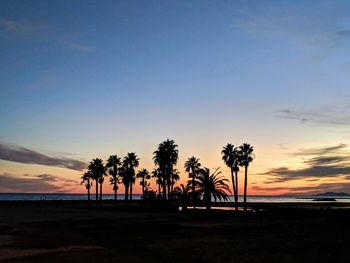 Silhouette palm trees on beach against sky during sunset