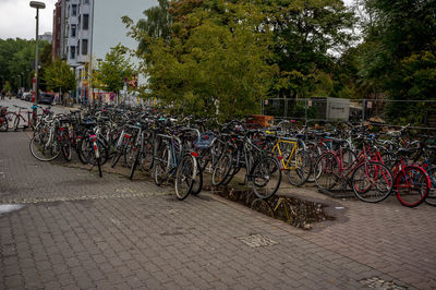 Bicycles parked on street in city