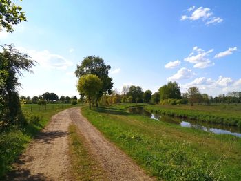 Road amidst trees on field against sky