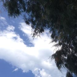 Low angle view of trees against cloudy sky
