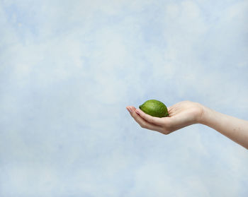 Close-up of hand holding apple against sky