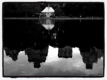 Reflection of trees in water