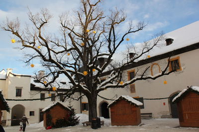 Bare tree in front of houses against sky