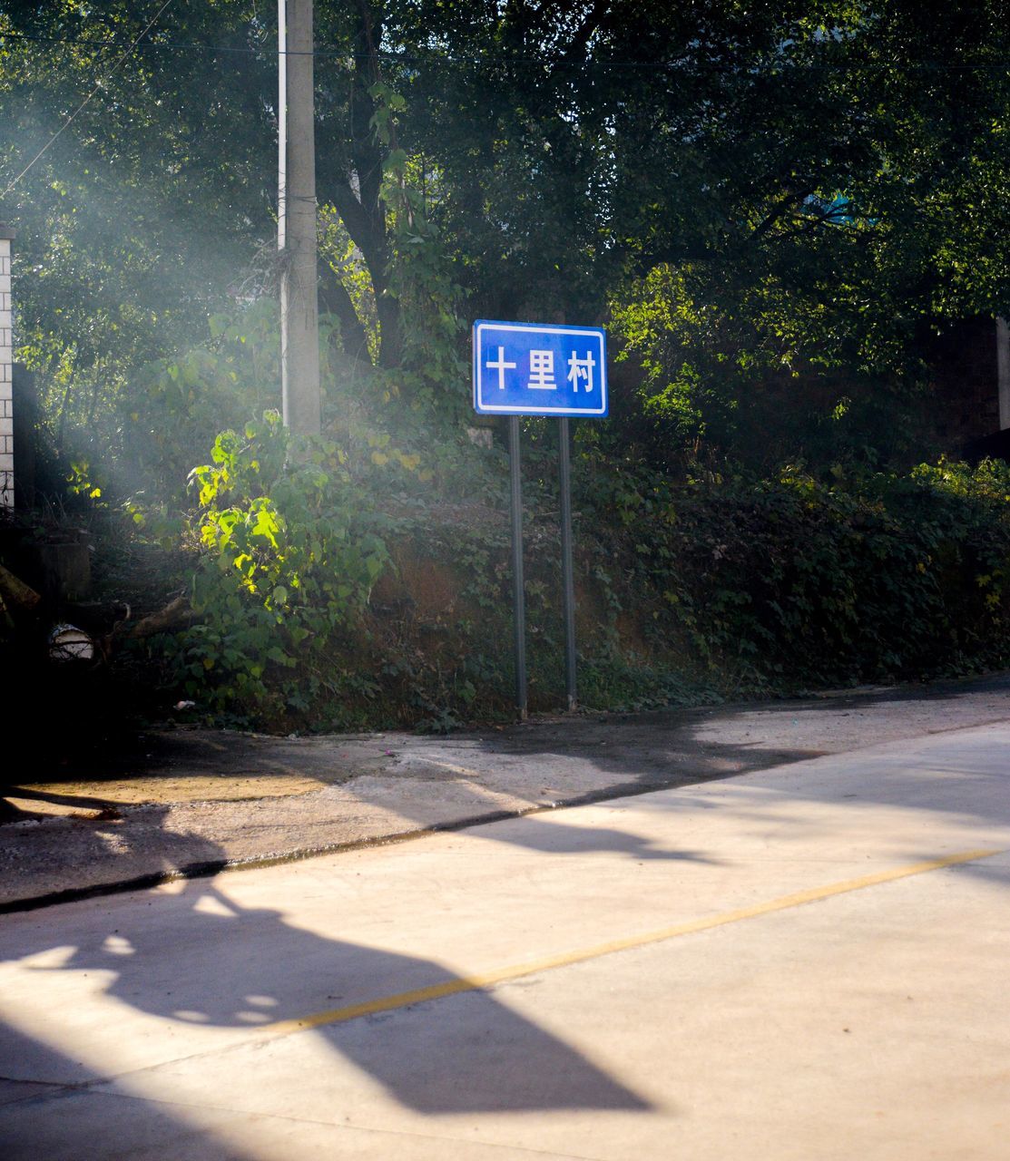 sign, communication, shadow, no people, tree, nature, sunlight, day, plant, text, guidance, road, western script, information, outdoors, road sign, direction, information sign, symbol, arrow symbol