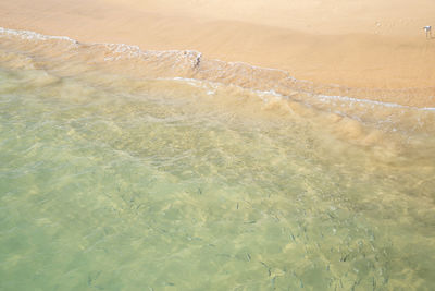 High angle view of sea shore