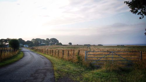 Dirt road passing through field