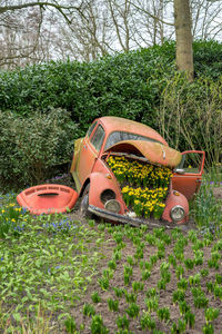 Abandoned vintage car on field