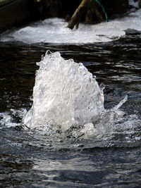 Close-up of ice on rock