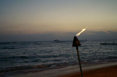 Bird perching on beach against sky during sunset