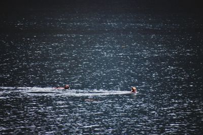 People swimming in sea