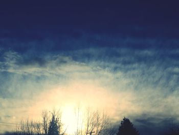 Low angle view of silhouette trees against sky during sunset