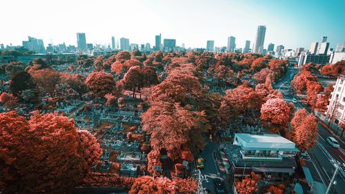 View of trees in city against sky