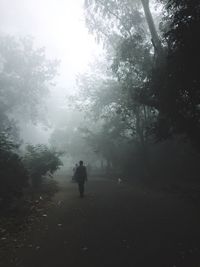 Rear view of man walking in forest