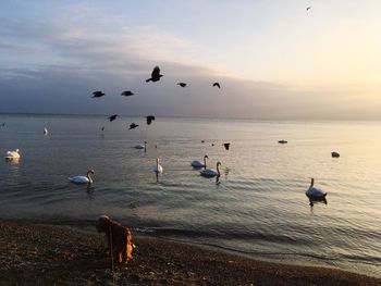 Quiet moment with friends of nature 