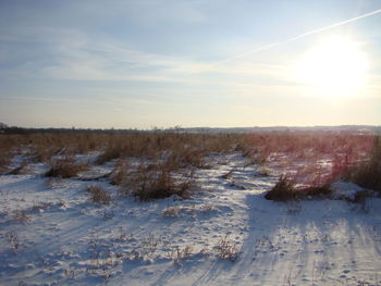 Scenic view of snow covered field against sky