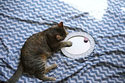 High angle view of cat with mirror and toy sitting on bed