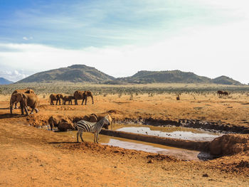 Panoramic view of desert against sky