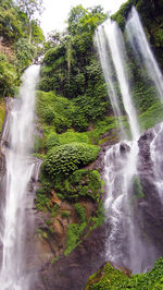 View of waterfall in forest