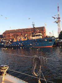 Boats in harbor